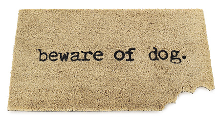 Beware the dog